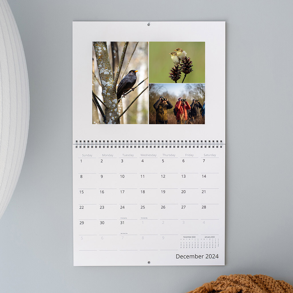 Shared-Projects-Landing-Page_Clubs-Organizations-Calendar Shared-Projects-Landing-Page_Clubs-Organizations-Calendar